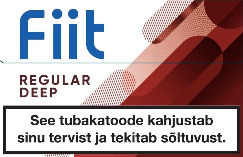 Fiit Regular deep табачные стики