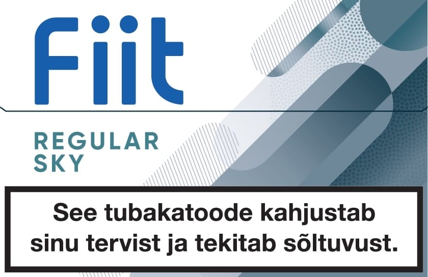Fiit Regular Sky табачные стики
