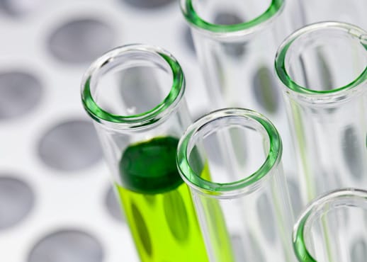 science section highest_standards lower_image_alt