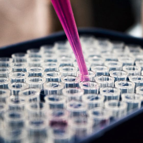 science section highest_standards upper_image_alt